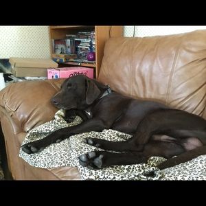 Meet your Posher, Natalie